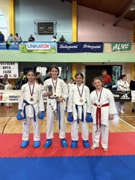 Mawashi Postojna (1)